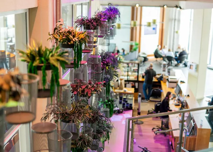 欧洲赫斯提亚酒店 4*